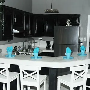 Plush Spacious 1 Bedroom Apt Williamsburg Apartment